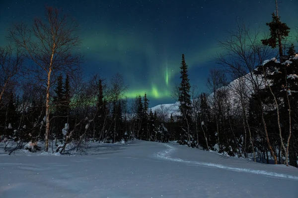 Polaire vert arctique Aurore boréale activité en hiver Finlande, Laponie — Photo