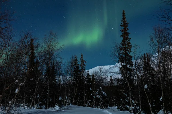 Ártico polar verde Luzes do norte Aurora Borealis activity in winter Finland, Lapland — Fotografia de Stock
