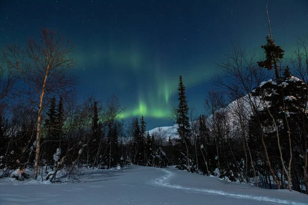 Verde polar ártico Aurora Boreal actividad en invierno Finlandia, Laponia — Foto de Stock