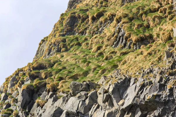 Formación de columnas de basalto en Islandia. Contexto —  Fotos de Stock