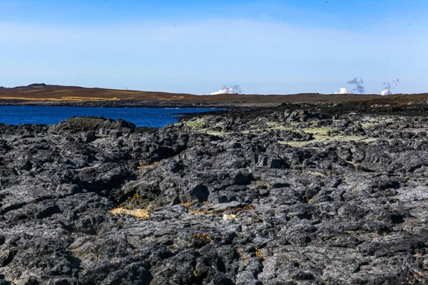 冰岛的熔岩形成与草。背景 — 图库照片