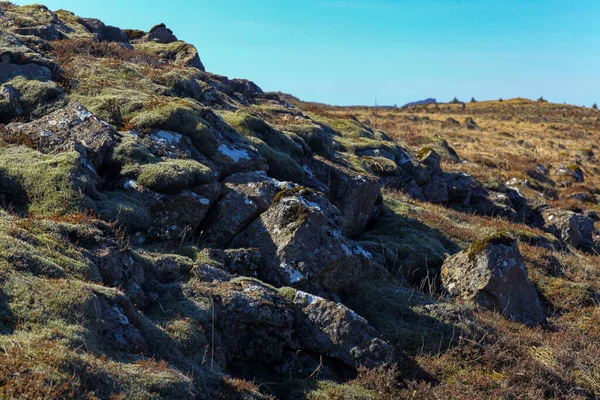Лавовое образование с травой в Исландии. Фон — стоковое фото