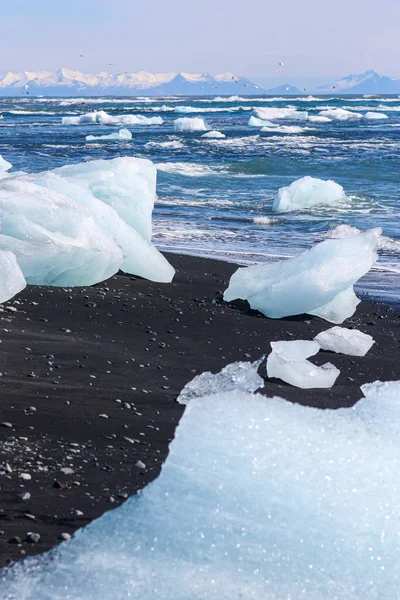 Krásný modrý a bílý led na černém sopečném písku na "Diamantové pláži" na Islandu — Stock fotografie
