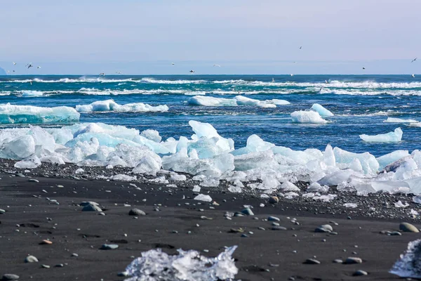 Όμορφο μπλε και άσπρο πάγο σε μαύρη ηφαιστειακή άμμο στην "παραλία Diamond" στην Ισλανδία — Φωτογραφία Αρχείου