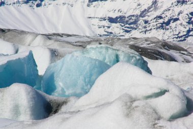 İzlanda 'nın soğuk sularındaki buz blokları, küresel ısınma