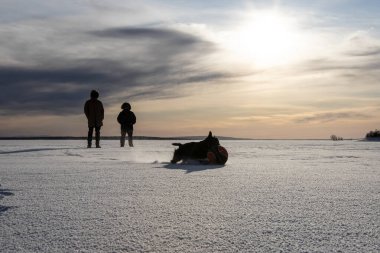 Köpeğin karla kaplı bir gölde top oynaması gökyüzünün arka planında iki adamın siluetiyle.