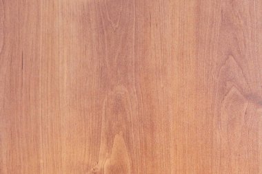 Eski meşe ağacının doğal dokusu ve arka planı