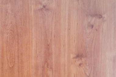 Eski meşe ağacının doğal dokusu ve arka planı