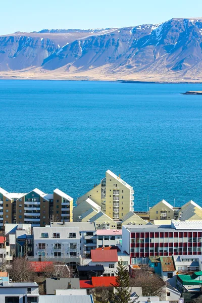 Şehrin kuş bakışı görüntüsü. Reykjavik, İzlanda
