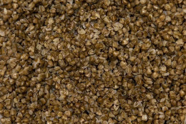 Haşlanmış karabuğday yakın plan. Koronavirüsten karantinaya alınmış yiyecekler. Arkaplan ve doku — Stok fotoğraf