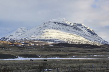 Güzel manzara. Bulutlu gökyüzüne karşı karlı dağlar