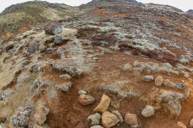 İzlanda 'da dünyanın yüzeyindeki lav taşları.