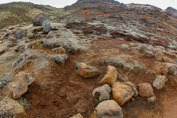 アイスランドの地表にある溶岩石 — ストック写真