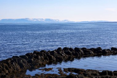 İzlanda 'da mavi okyanusun kıyısındaki bazalt kayaları.