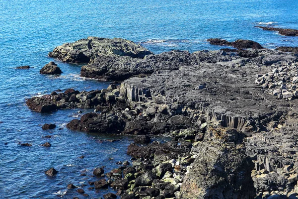 Bazaltowe skały na wybrzeżu błękitnego oceanu w Islandii. — Zdjęcie stockowe