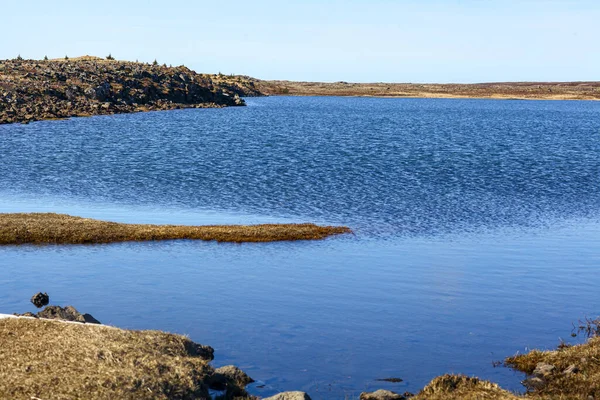 Het laagwater op de oceaan in IJsland. Een klein water. — Stockfoto