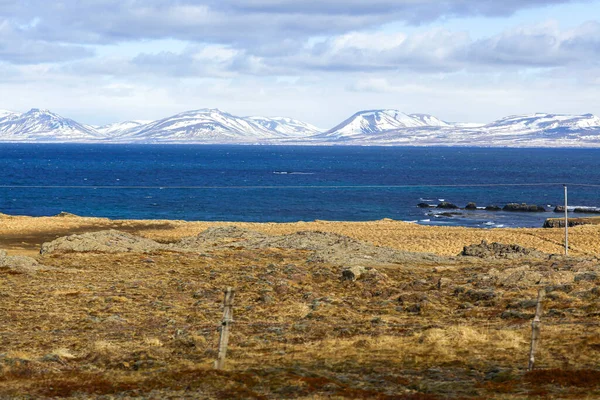 Φθινοπωρινό τοπίο της Ισλανδίας. Βουνά καλυμμένα με χιόνι στο βάθος, τον ωκεανό και την ακτή, καλυμμένα με κίτρινο γρασίδι. — Φωτογραφία Αρχείου