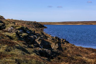 Omuzlarında parlak elementler olan şeffaf bir elbiseyle geçmişe dönük bir kızın eski moda portresi..