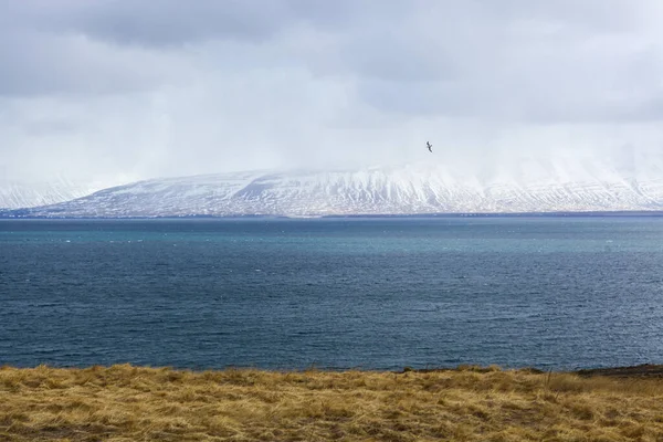 Η βιασύνη του μεγάλου νερού στον ωκεανό. Όμορφη φύση της Ισλανδίας. Οι βράχοι στην απόσταση — Φωτογραφία Αρχείου
