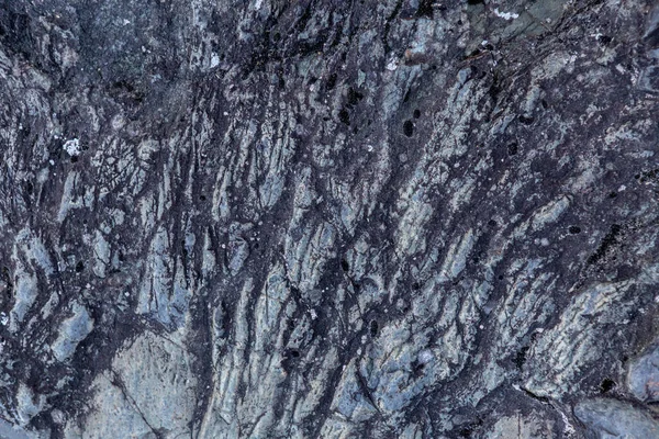 Textuur en achtergrond van versteende lava. Prehistorische rotsformatie — Stockfoto