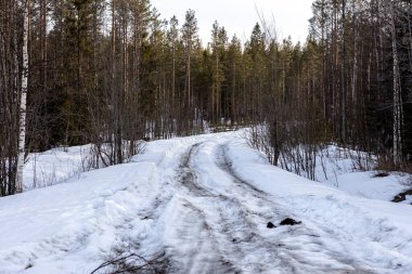 Karda kış ormanı yolu. Vahşi hayvanları avlamak
