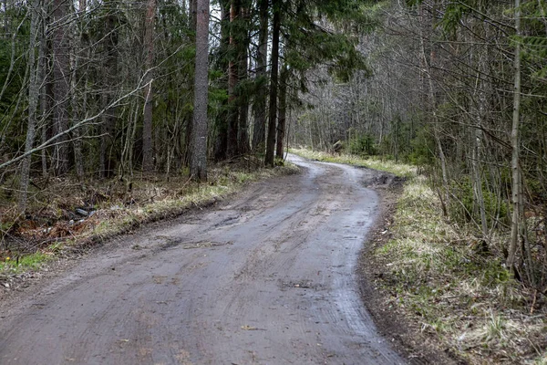 El camino de tierra en el bosque. Descanso en el paisaje rural — Foto de Stock