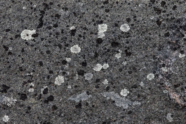 Zbliżenie widok tekstury kamienia z porostów na nim — Zdjęcie stockowe
