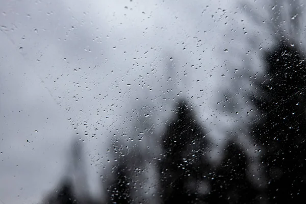 Gotas de chuva em um copo molhado no fundo de árvores escuras sem foco — Fotografia de Stock