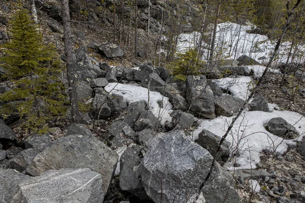 Het landschap van het bos van Karelia. berken, sparren en rotsen. — Stockfoto