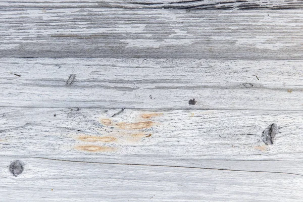 Textura y sección de fondo de un árbol. Primer plano del tablero de madera —  Fotos de Stock