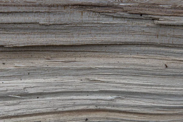 Textura y sección de fondo de un árbol. Primer plano del tablero de madera — Foto de Stock