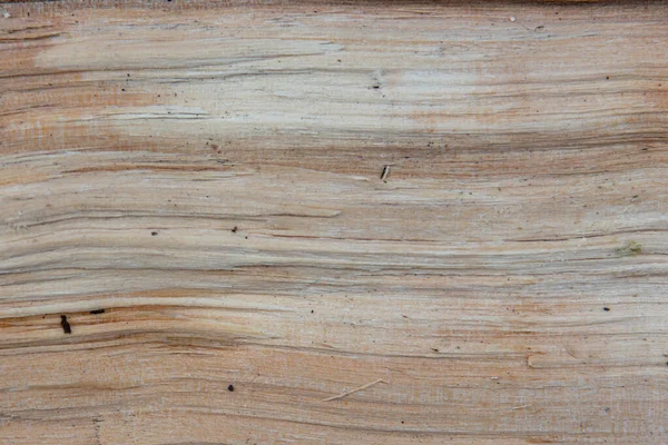 Textura y sección de fondo de un árbol. Primer plano del tablero de madera — Foto de Stock