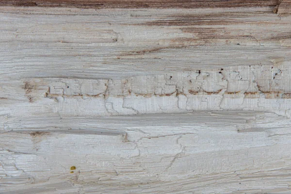Közelkép textúra fa táblák. A vágott fa háttér — Stock Fotó