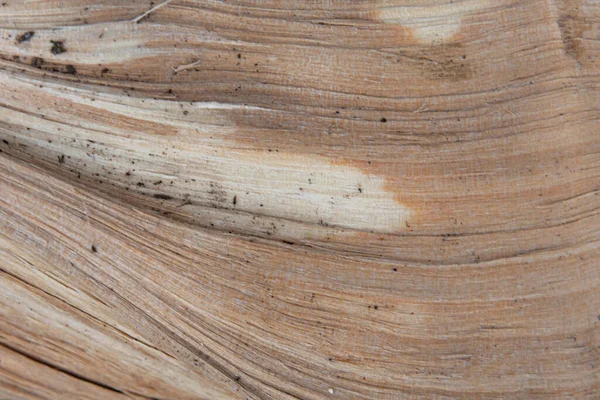 Крупним планом текстура дерев'яних дощок. Обрізаний фон з дерева — стокове фото