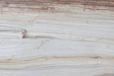 Ağacın dokusu ve arkaplanı. Tahta tahtayı kapat.