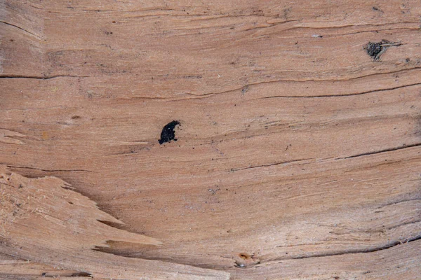 Доски деревянные крупным планом. Деревянный фон — стоковое фото