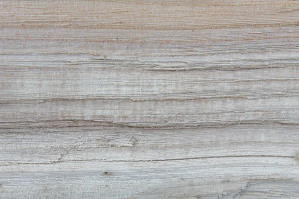 Textura y sección de fondo de un árbol. Primer plano del tablero de madera — Foto de Stock