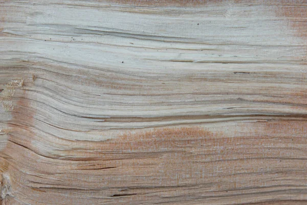 Фото крупним планом вирубаних дощок деревини. Текстура і фон з деревини — стокове фото