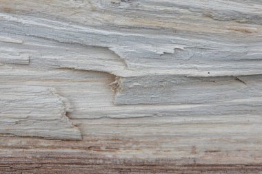 Tahtanın dokusu ve lifleri yakınlaşıyor. Ahşap arka plan