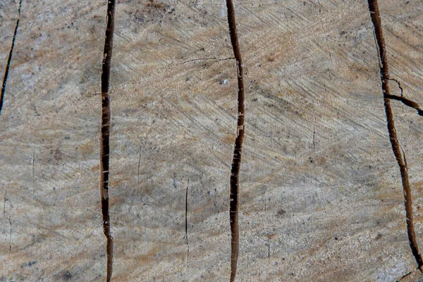De hout gesneden textuur close-up met scheuren. Natuurlijke achtergrond — Stockfoto
