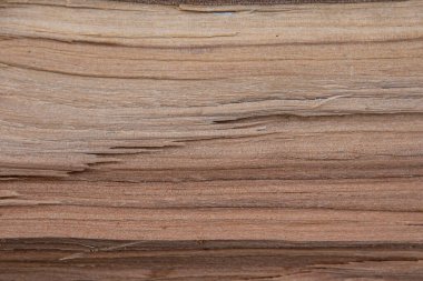 Ahşap kesim dokusu çatlaklarla kapatılmış. Doğal arkaplan