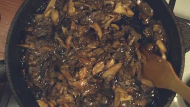 Fried mantar. Ağır çekim. Yakın çekim.