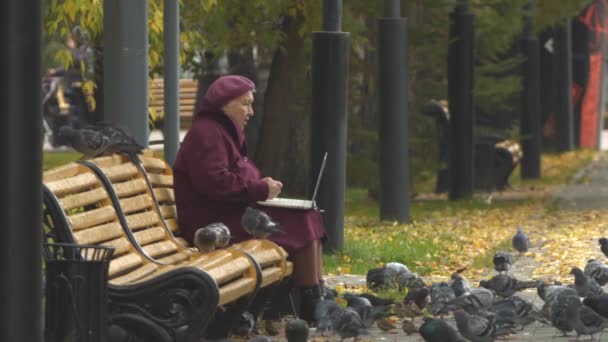 A avó no parque a falar com os pássaros. Movimento lento . — Vídeo de Stock