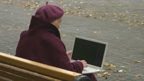 La abuela está escribiendo en un portátil. Dos disparos. Aplausos. . — Vídeos de Stock