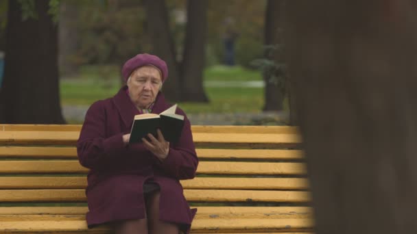 Großmutter liest ein Buch. 2 Schüsse. — Stockvideo