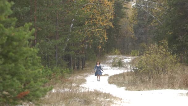 Das Mädchen im Wald und der erste Schnee. — Stockvideo
