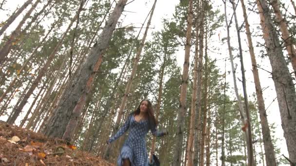 Un paseo por el bosque de pinos . — Vídeos de Stock