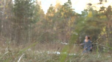 Kış ormanda takip. 