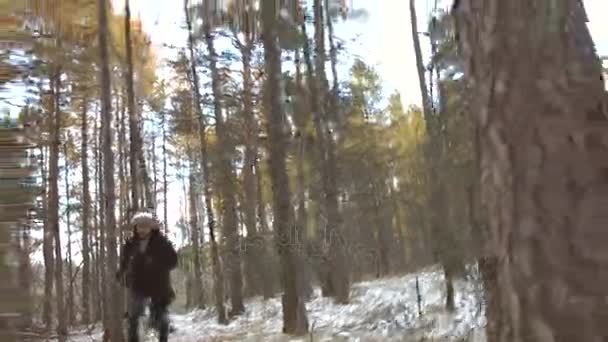 Forest chase. Zpomalený pohyb. — Stock video