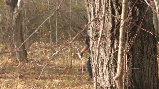 Un hombre caminando por el bosque con una chica en su hombro . — Vídeos de Stock